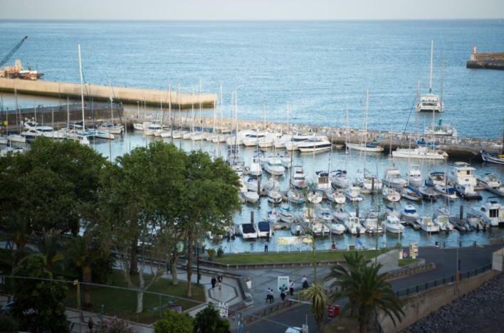 Apartment W Stunning View - Marina - Free Parking & Ac Funchal  Exterior foto